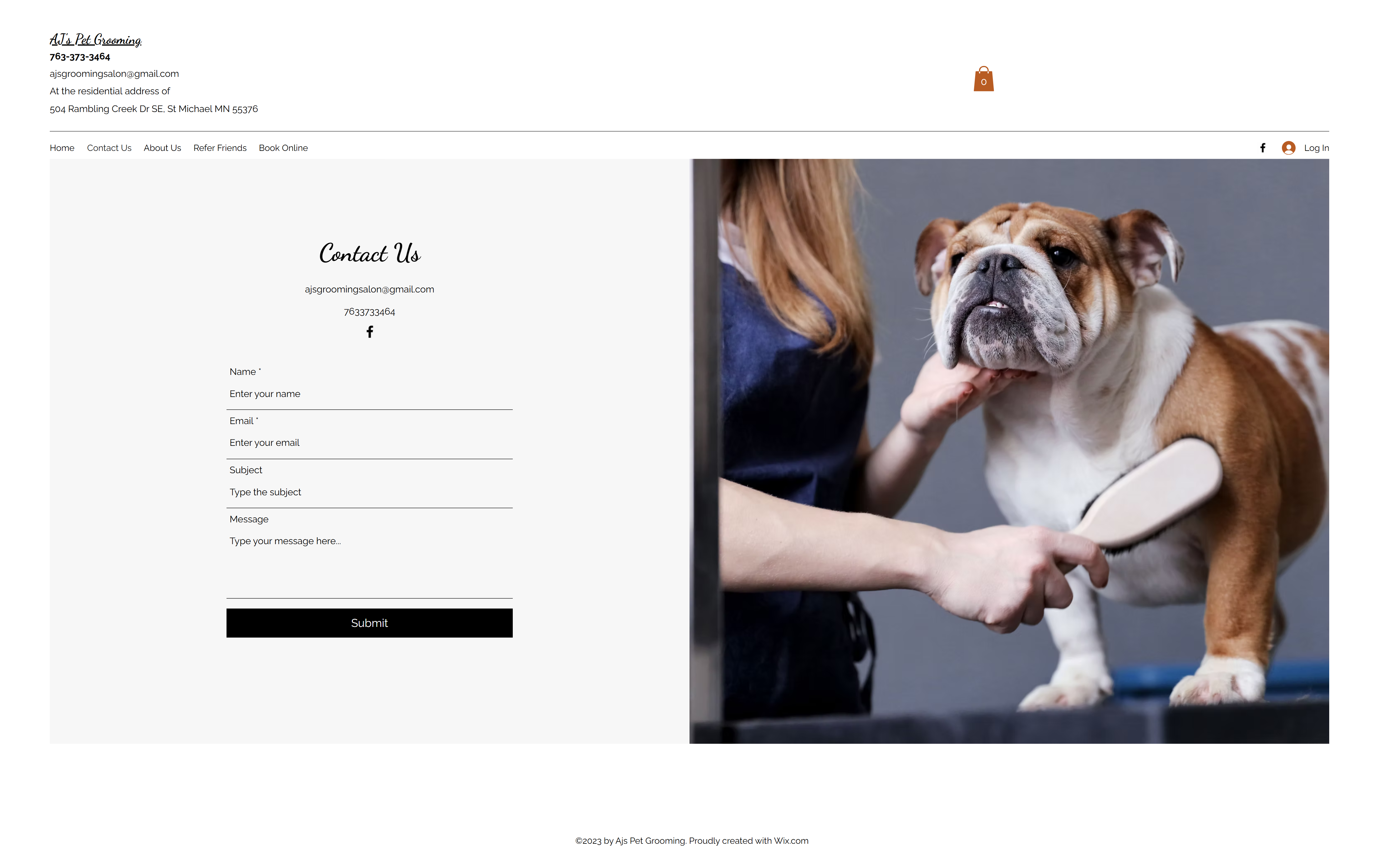 Original website contact us page