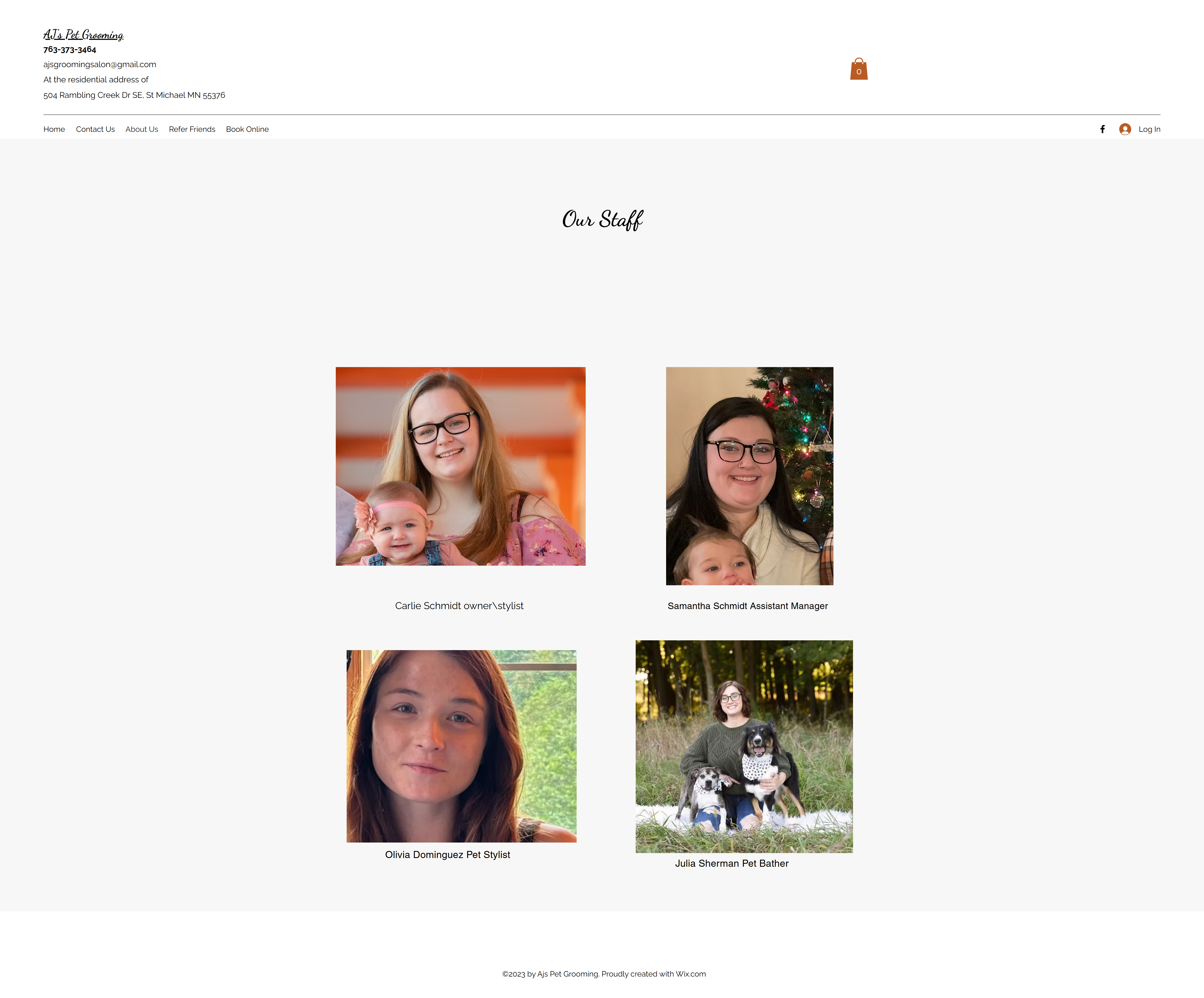 Original website about us page