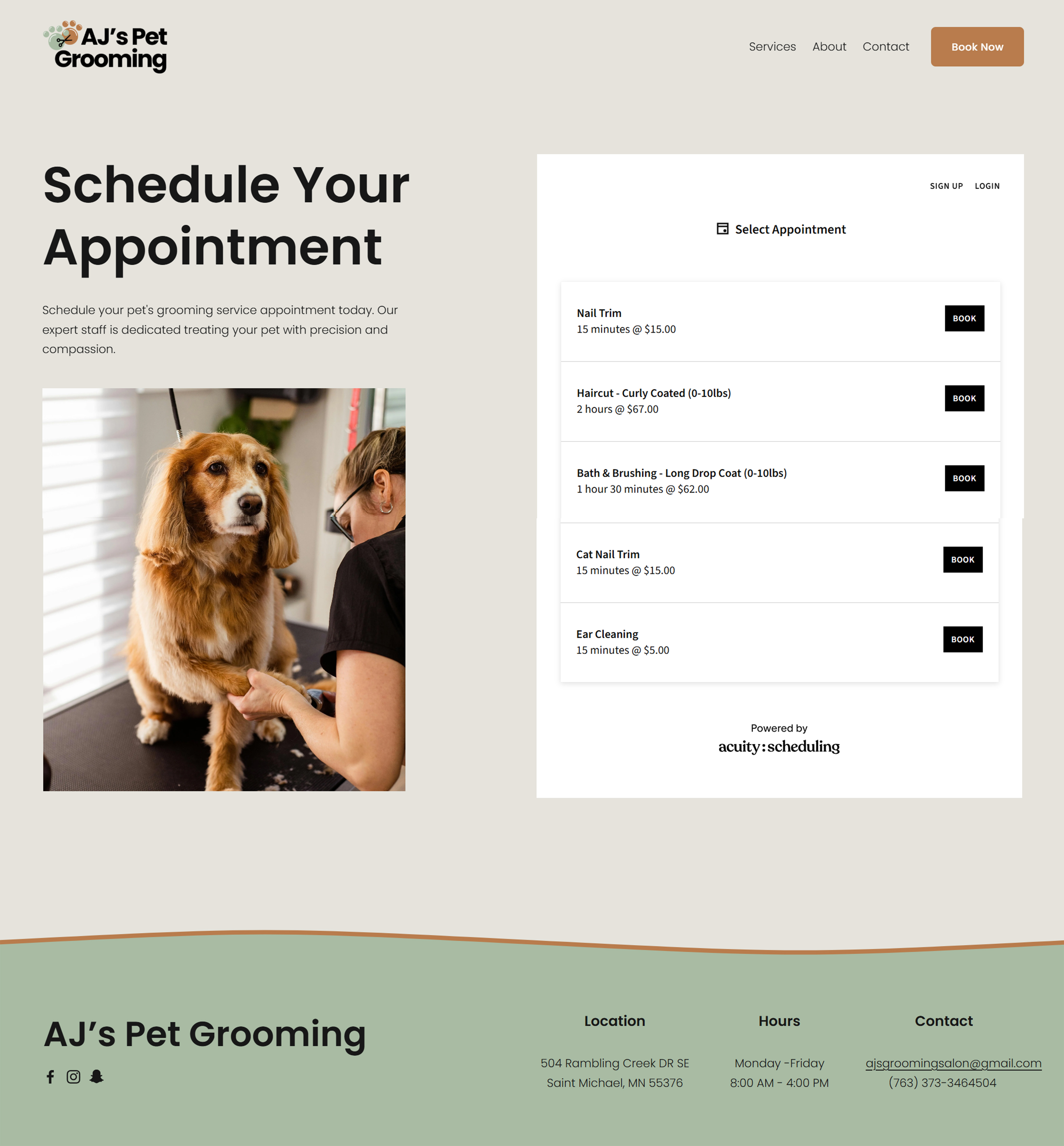 Squarespace website schedule appointment page