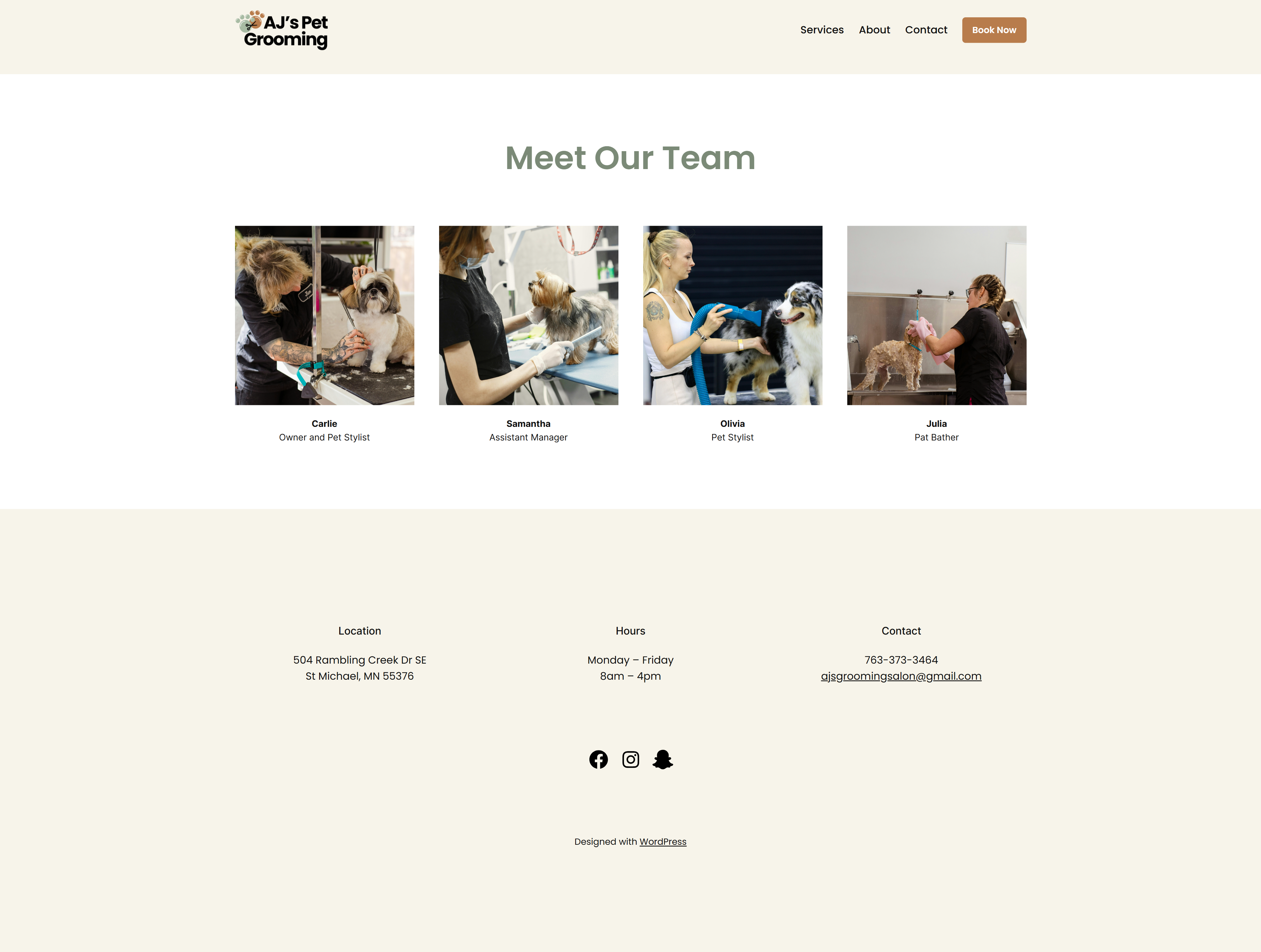 Wordpress website meet the team page